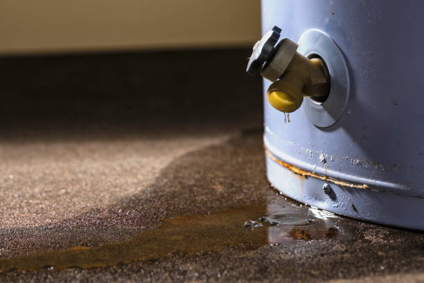 Best Mold removal after water damage  in Westfield, IN