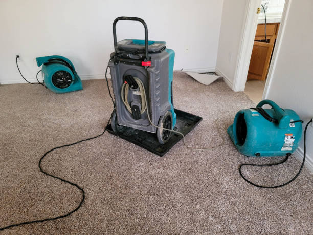Water damage restoration insurance claims in Westfield, IN