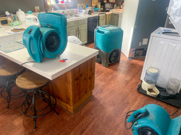 Best Emergency water damage restoration  in Westfield, IN