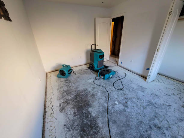 Best Water damage restoration near me  in Westfield, IN