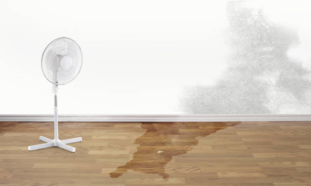 Best Emergency water damage restoration  in Westfield, IN
