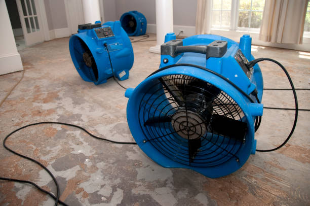 Best Water damage contractors near me  in Westfield, IN