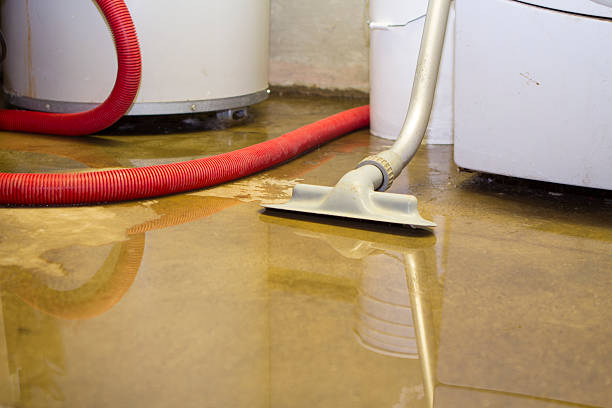 Professional Water damage restoration in Westfield, IN