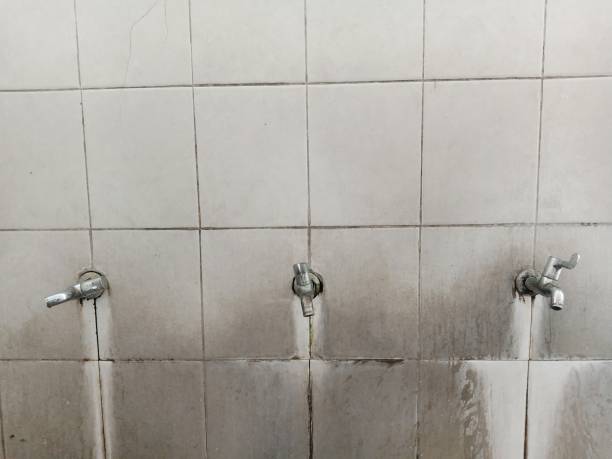 Best Water damage restoration near me  in Westfield, IN