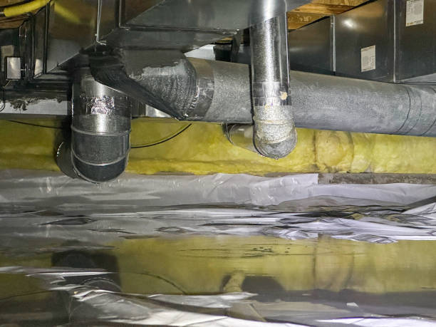 Best Local water damage restoration  in Westfield, IN