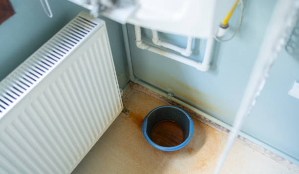 Best Residential water damage restoration  in Westfield, IN