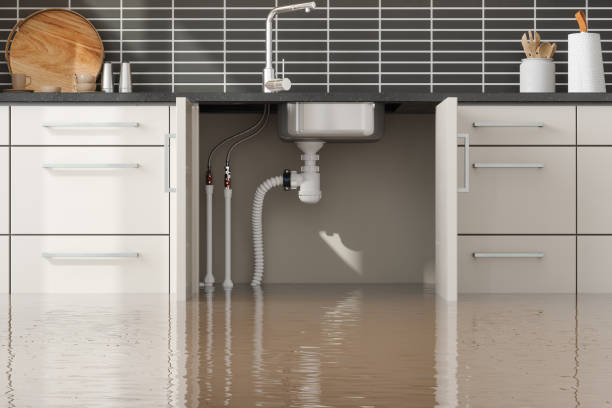 Best Basement water damage restoration  in Westfield, IN
