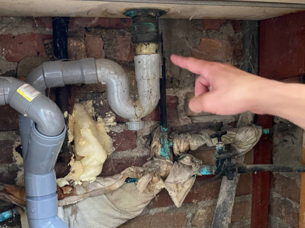 Best Flooded house restoration  in Westfield, IN