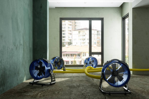 Best Sewage cleanup and water damage restoration  in Westfield, IN